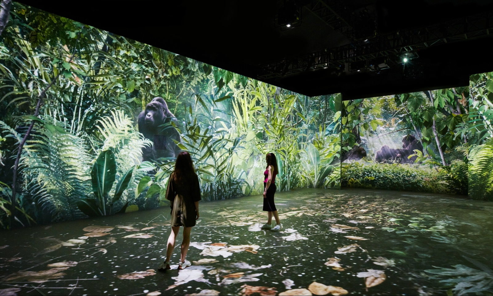 Immersieve filmervaring David Attenborough in ARTIS
