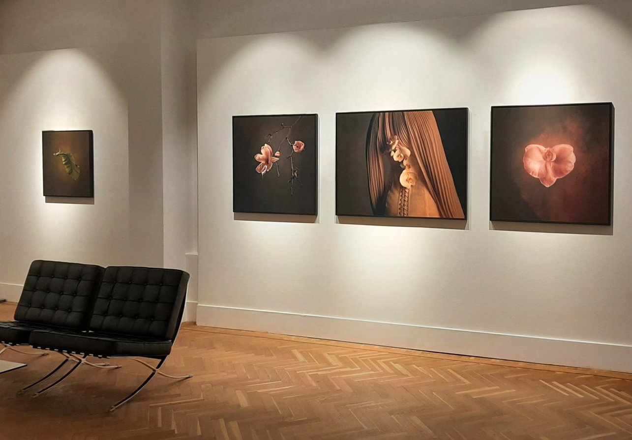 smithdavidson-gallery-amsterdam smithdavidson-gallery-amsterdam