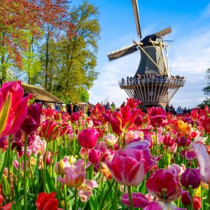 Weekendtips Amsterdam: Wat gaan we doen dit weekend?