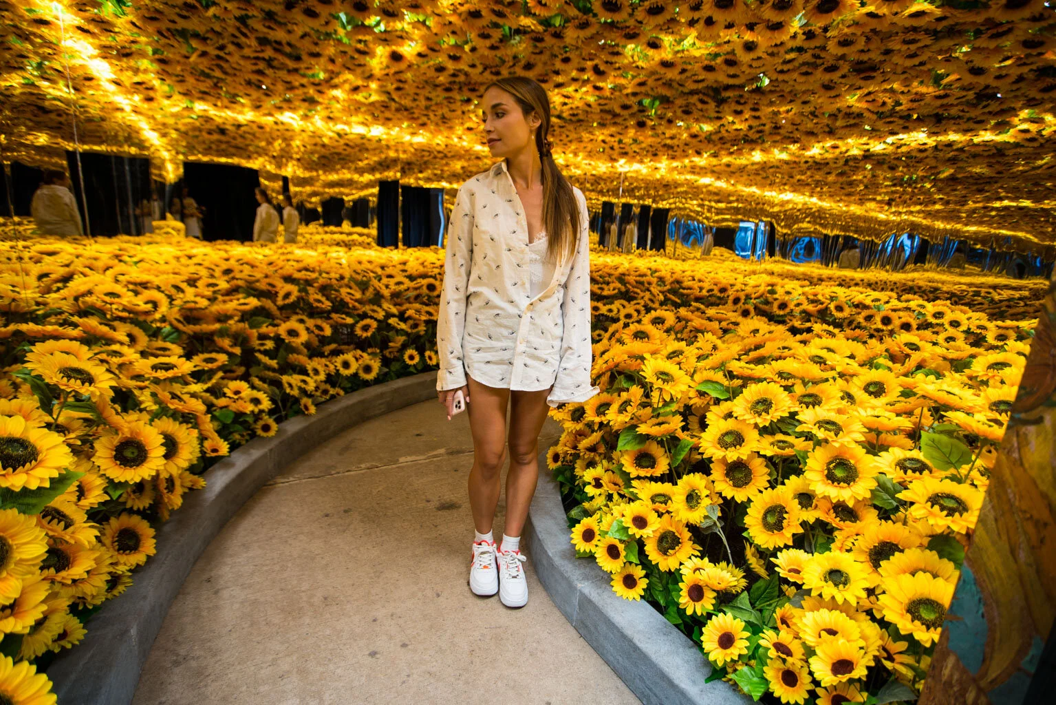 yellow-exhibition-van-gogh-museum-amsterdam_3